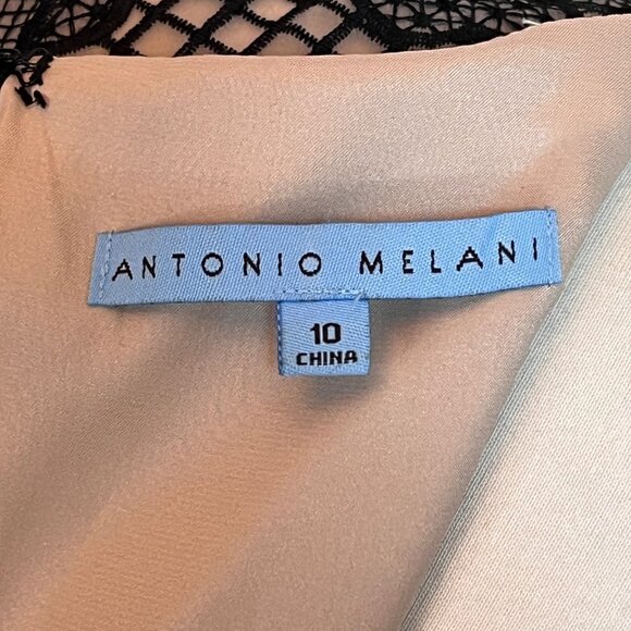 Antonio Melani Black Lace Floral Dress 10 Dark Romantic Mob Wife Retro Glam MCM - Picture 7 of 12